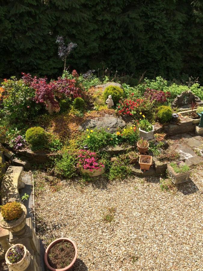 Rowan House Bed Breakfast Main House & Self Contained Self Catering Apartment Cymmer 外观 照片